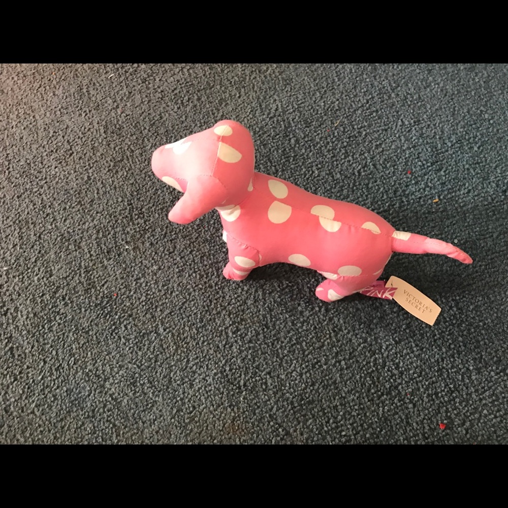 Pink vs dog